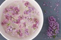 Fresh lilac flower petals floating on water in the white ceramic bowl on blue painted background. Royalty Free Stock Photo