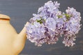 Fresh lilac flowers in a beige tea pot over blue background. Royalty Free Stock Photo