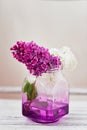 Fresh lilac flowers in glass vase close up on white background Royalty Free Stock Photo