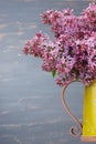 Fresh lilac flowers in the metal yellow pitcher against blue background.