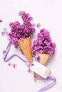 Fresh lilac flowers in waffle cones with ribbon Royalty Free Stock Photo