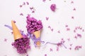 Fresh lilac flowers in waffle cones with ribbon on grey textured Royalty Free Stock Photo