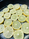 Lime slices Royalty Free Stock Photo