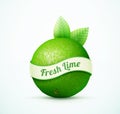 Fresh lime fruit with green leaves Royalty Free Stock Photo