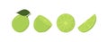 Fresh lime fruits, in different condition, vector