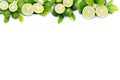 Fresh lime and green leaf frame and border isolated on white background Royalty Free Stock Photo