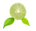 Fresh lime isolated on white background Royalty Free Stock Photo