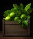 Fresh lime leaf in a wooden container, in the style of nusch, softly organic Royalty Free Stock Photo