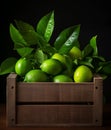 Fresh lime leaf in a wooden container, in the style of nusch ÃÂ©luard, softly organic