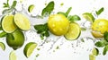 Fresh lime and lemon slices with water splash, green mint leaves on white background Royalty Free Stock Photo