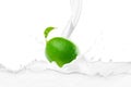 Fresh Lime With Milk Splash Royalty Free Stock Photo