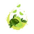 Fresh lime with realistic splash   illustration. Falling slices in juice, milk, chocolate Royalty Free Stock Photo