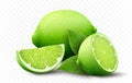 Fresh lime set, with various view of whole lime fruit, halves and slices, isolated on transparent background. Realistic 3d vector