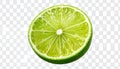 Lime Slice Fresh Green Citrus Fruit. Royalty Free Stock Photo