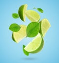 Fresh lime slices and green leaves falling on light blue background Royalty Free Stock Photo
