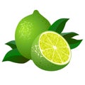Fresh limes with leaves. Royalty Free Stock Photo
