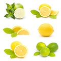 fresh limes and lemons - collage Royalty Free Stock Photo
