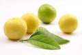 Fresh limes with lime leaf, Royalty Free Stock Photo