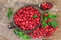 Fresh Lingonberry Royalty Free Stock Photo