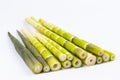 Fresh little bamboo shoots isolated