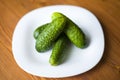 Fresh little cucumbers in a plate, mini gherkins