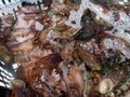Fresh and live abalone, sold in the seafood market