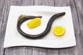 Fresh live fish lamprey on porcelain plate with lemon. Royalty Free Stock Photo