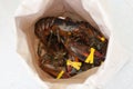 Fresh live lobsters in paper bag Royalty Free Stock Photo