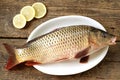 Fresh live raw carp. Fresh river fish. Wild fish. Top view.