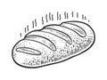 Fresh loaf of bread sketch vector illustration