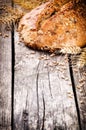 Fresh loaf of bread and wheat Royalty Free Stock Photo