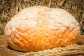 Fresh loaf of wheat bread handmade Royalty Free Stock Photo