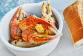 Fresh Lobster Claws from Florida Royalty Free Stock Photo