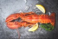Fresh lobster food on a black plate background / red lobster dinner seafood with herb spices lemon served table and ice in the Royalty Free Stock Photo
