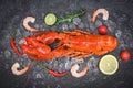 Fresh lobster food on dark background, Red lobster dinner seafood with shrimp herb and spices Royalty Free Stock Photo