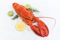 Fresh lobster food on white plate background, Red lobster dinner seafood with herb spices lemon rosemary on ice in the restaurant Royalty Free Stock Photo