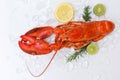 Fresh lobster food on white plate background, Red lobster dinner seafood with herb spices lemon rosemary on ice in the restaurant Royalty Free Stock Photo