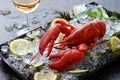 Fresh lobster on ice