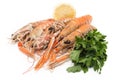 Fresh lobster Royalty Free Stock Photo