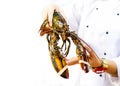 Fresh lobster at the seafood market, hand chef holding fresh lobster, with copy space