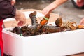 Fresh Lobsterfest Royalty Free Stock Photo