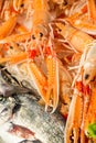 Fresh lobsters in outdoor fish market in Venice, Italy. Royalty Free Stock Photo