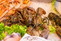 Fresh lobsters for sale in outdoor fish market in Venice, Italy. Royalty Free Stock Photo