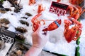 Fresh lobsters in the seafood market. Lobster store. Raw seafood lobster. Royalty Free Stock Photo