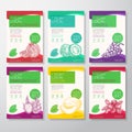 Fresh Local Fruit and Berries Labels Packaging Design Layout Collection. Vector Background Covers Set. Modern Typography