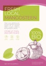 Fresh Local Fruits Label Template. Abstract Vector Packaging Design Layout. Modern Typography Banner with Hand Drawn