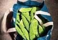 Momordica vegetables in the bag Royalty Free Stock Photo
