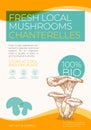 Fresh Local Mushrooms Label Template. Abstract Vector Packaging Design Layout. Modern Typography Banner with Hand Drawn