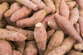 Fresh local sweet potatoes at the market Royalty Free Stock Photo