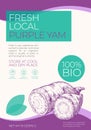 Fresh Local Vegetables Label Template. Abstract Vector Packaging Design Layout. Modern Typography Banner with Hand Drawn
